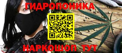 мяу мяу мука Чебоксары