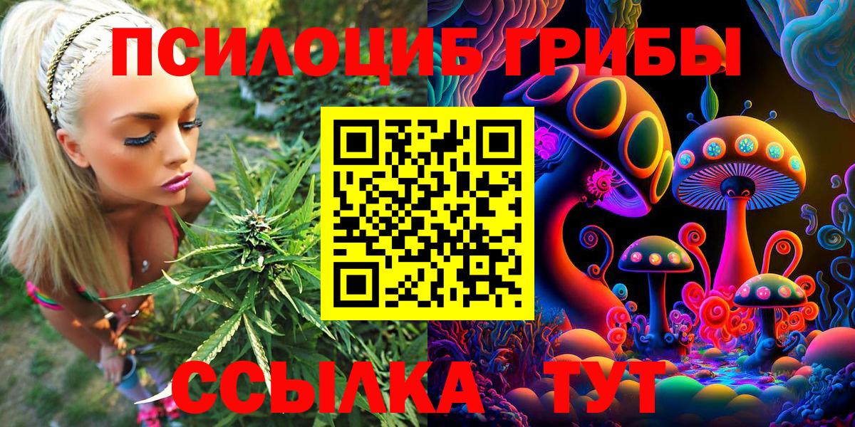 как найти закладки  Псилоцибиновые грибы GOLDEN TEACHER  Вход с VPN  Ачинск 